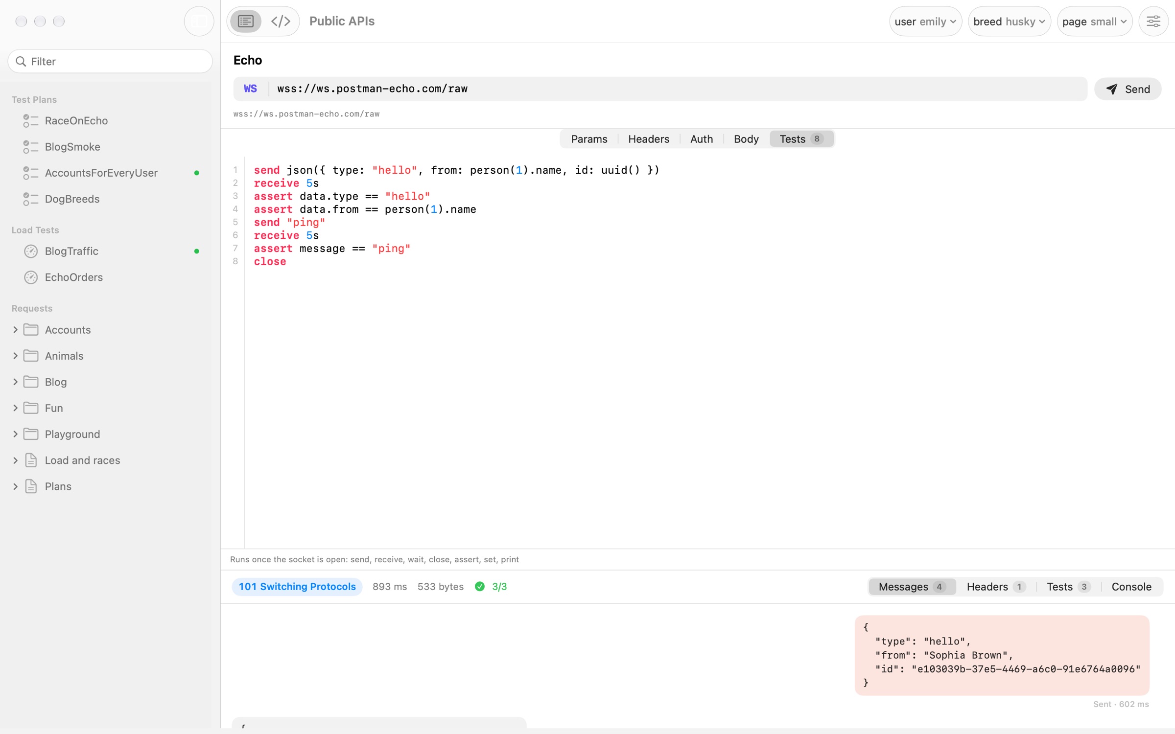 A WebSocket request: its script, and the conversation shown as sent and received messages